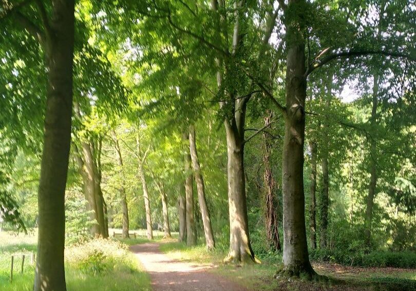 geijsteren 2
