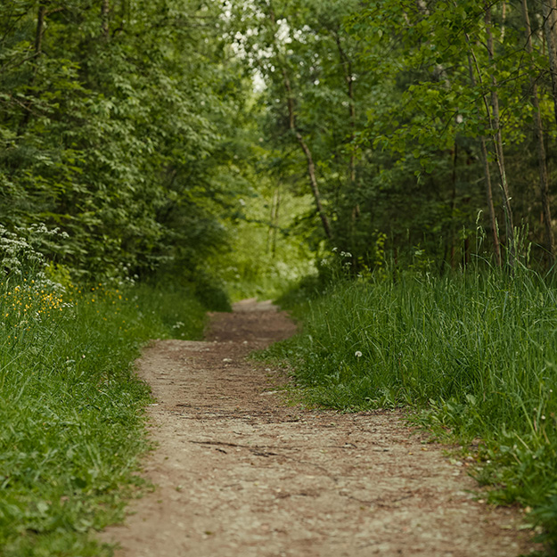 clientgerichte psychotherapie clientgerichte psychotherapie